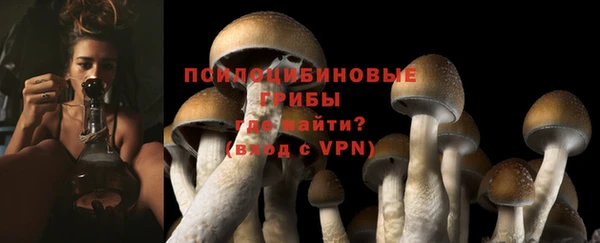 ГАЛЛЮЦИНОГЕННЫЕ ГРИБЫ Алзамай