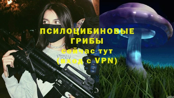 амф Алексеевка