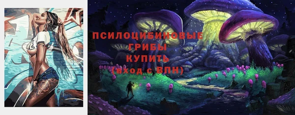 СК Алексин