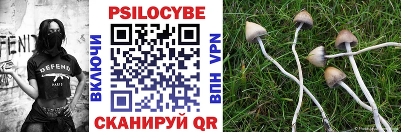 Псилоцибиновые грибы Psilocybe  МЕГА маркетплейс  Лаишево  купить наркотики цена 